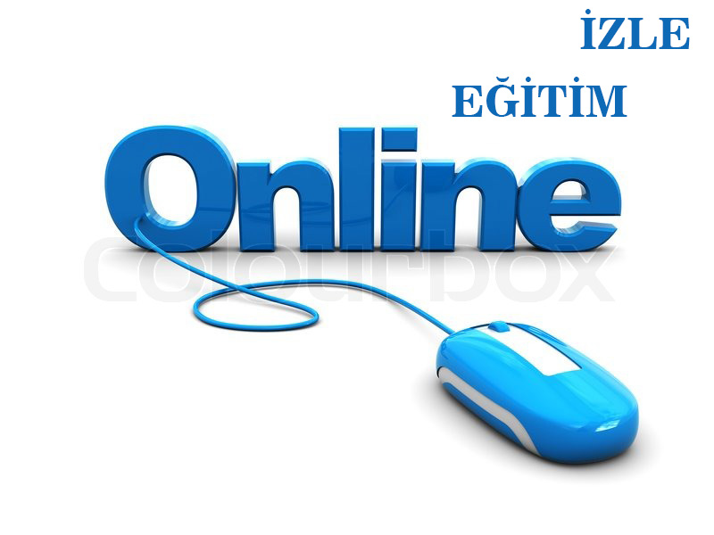 online_egitim